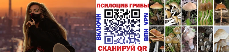 Галлюциногенные грибы ЛСД Спасск