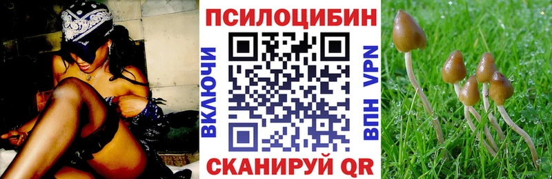 Галлюциногенные грибы прущие грибы  Спасск 